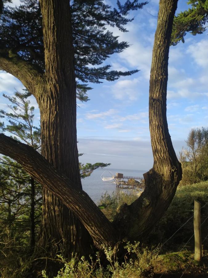 Hotel Particulier Le Rocher Des Marais "Proximite Plage & Vue Mer Pour Certains Hebergements" Pornic Bagian luar foto